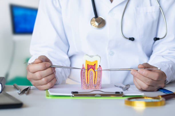 Best Root Canal Emergency Dentist  in New Buffalo, MI